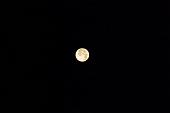001 La luna al mattino